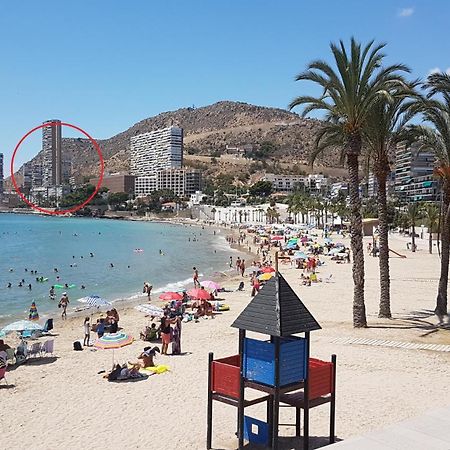 Gafner 8 Daire Alicante Dış mekan fotoğraf